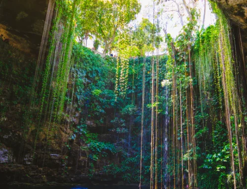 Cenote Exploration