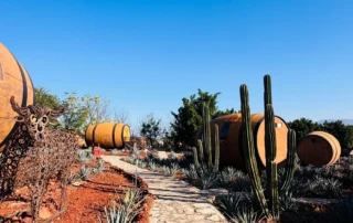 MexicoRandoms_20